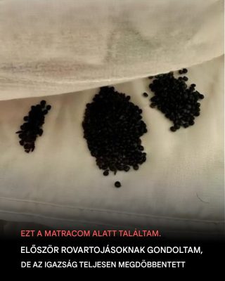 Ezt találtam a matracom alatt – Először azt hittem, rovartojások, de az igazság megdöbbentett