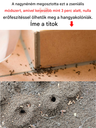 Teljesen tanácstalan voltam az előbb! Alig várom, hogy kipróbálhassam!