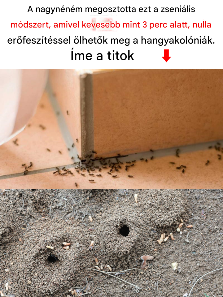 Teljesen tanácstalan voltam az előbb! Alig várom, hogy kipróbálhassam!