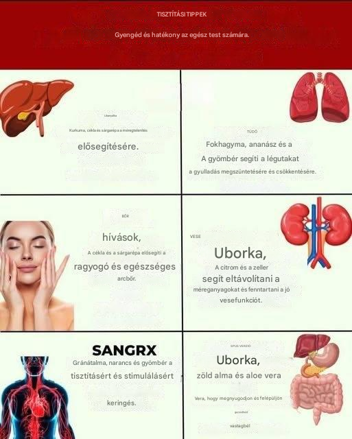 Testméregtelenítés: mi az, miért fontos, és hogyan végezhető el természetes úton.
