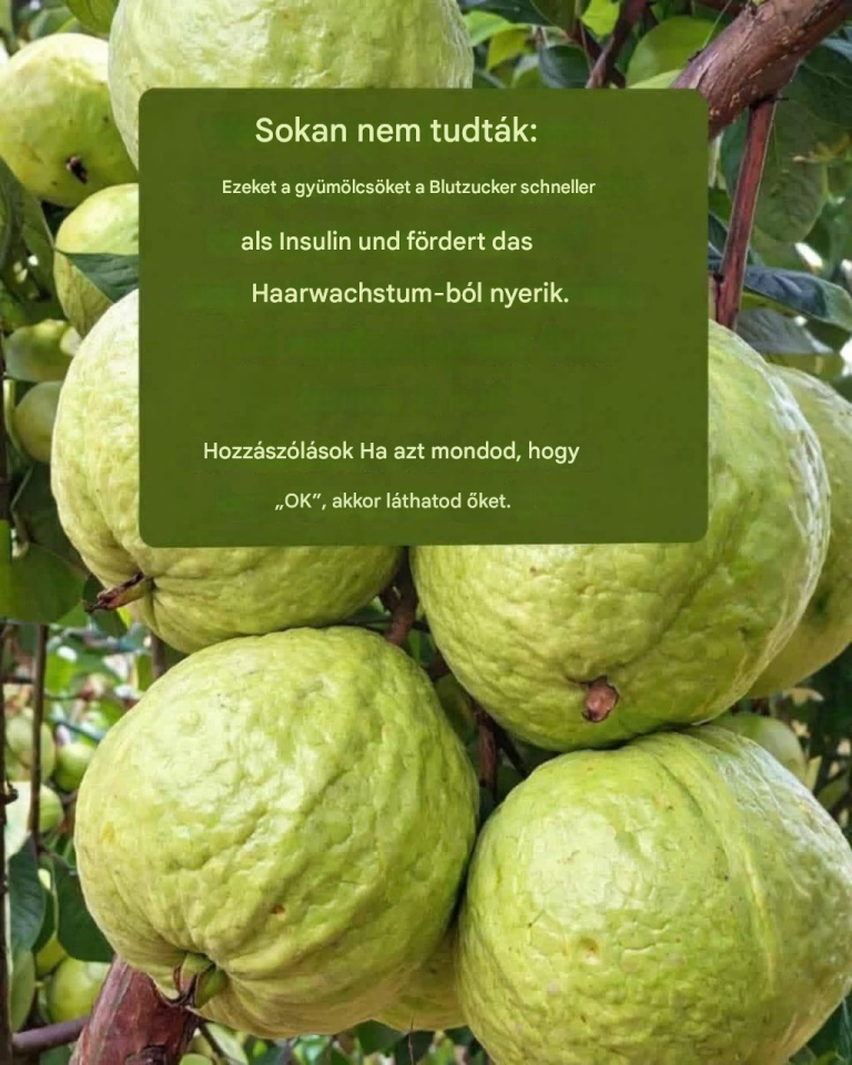 Guava – Egészségügyi ígéretek: Tények kontra valóság