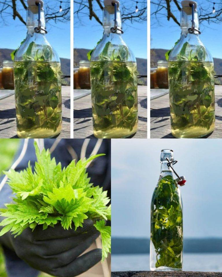 Az ALKOHOLOS csalán erősebb, mint bármilyen orvosság, a nagyapám mindig azt mondta: Emlékezz erre a receptre egész életedben!