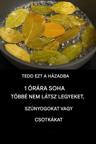 Űzd el a legyeket, szúnyogokat és csótányokat ezekkel az egyszerű természetes gyógymódokkal