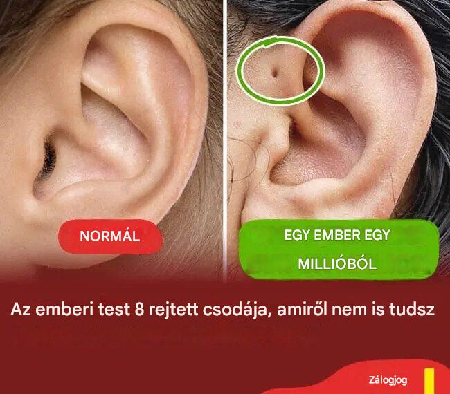 🧬Fedezd fel az emberi test lenyűgöző, kevéssé ismert tulajdonságait