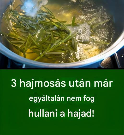 Forrald fel ezt a növényt, majd mosd meg vele a fejed! 3 hajmosás után A HAJAD EGYÁLTALÁN NEM FOG HULLNI! Ez a csillagok titka!