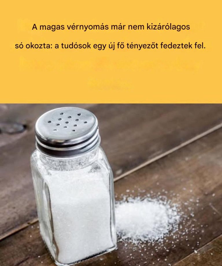 A magas vérnyomásnak új bűnöse van.