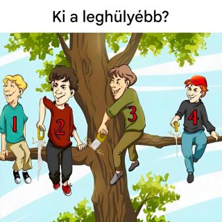 Véleményed szerint ki követi el a legnagyobb hibát? Szinte senki sem találja meg a helyes választ.