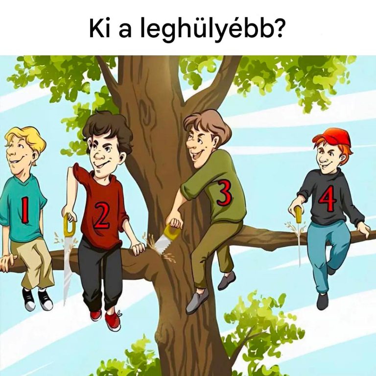 Véleményed szerint ki követi el a legnagyobb hibát? Szinte senki sem találja meg a helyes választ.