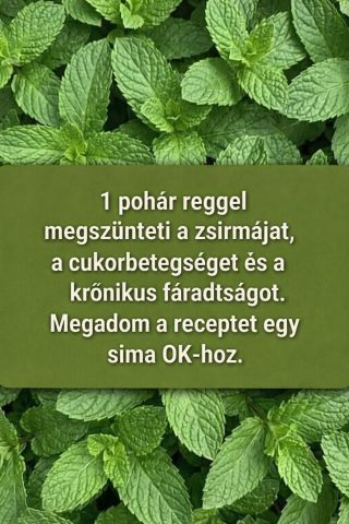 Menta: Csodanövény az egészségértMenta: Csodanövény az egészségért