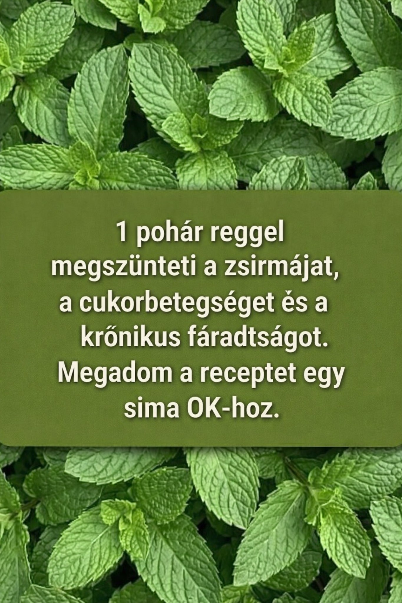 Menta: Csodanövény az egészségértMenta: Csodanövény az egészségért