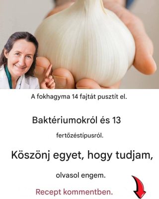 Az egyetlen étel, amit az ősi seregek csatába vittek, és ami ma is elpusztítja a modern szuperbaktériumokat: a fokhagyma