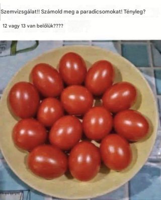 Szemteszt!! Számold meg a paradicsomokat. 12 vagy 13 van belőlük?