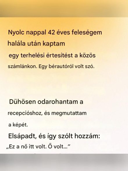 Egy átlagos üzenet elképzelhetetlen jelentéssel