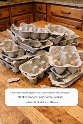 A legtöbb ember ezeket egyenesen a szelektív hulladékgyűjtőbe dobja. 10 okos módszer a kartonból készült tojástartók újrahasznosítására