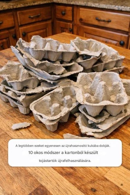 A legtöbb ember ezeket egyenesen a szelektív hulladékgyűjtőbe dobja. 10 okos módszer a kartonból készült tojástartók újrahasznosítására