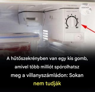 Mindig is pazaroltuk az áramot anélkül, hogy tudnánk róla