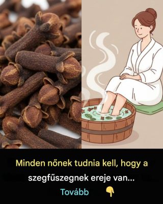 A szegfűszeg gyógyító előnyei: természetes gyógymódok a jobb egészség érdekében