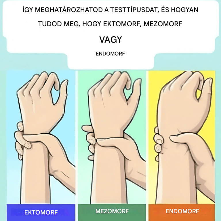 Ektomorf, mezomorf vagy endomorf vagy? Fedezd fel a testalkatodat, és azt, hogyan hozhatod ki belőle a legtöbbet.