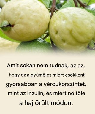 Fedezd fel ennek a csodálatos gyümölcsnek az erejét a vércukorszint csökkentésére