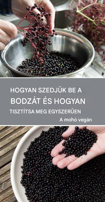 Ingyen terem a boszorkányok mágikus bogyója: mennyei lekvár készíthető belőle