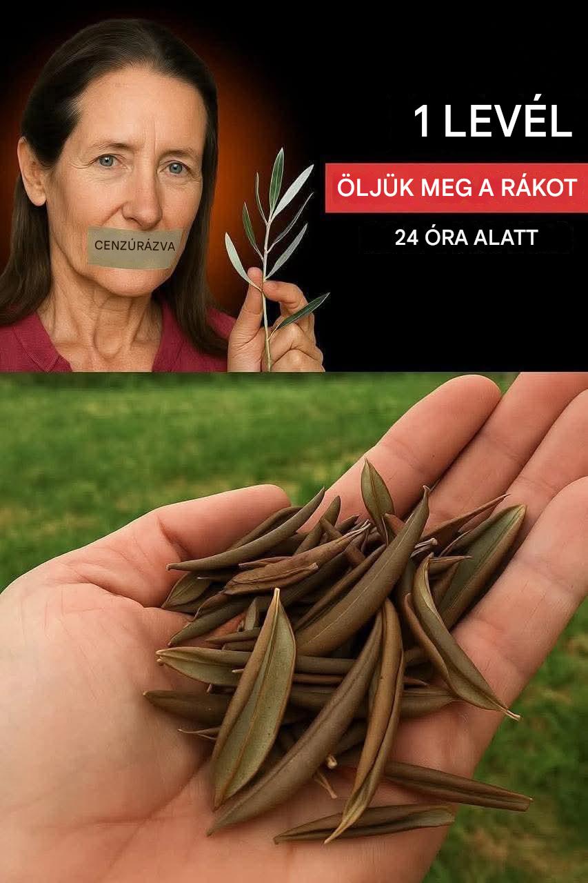 Barbara O’Neill gyengéd jóllét filozófiája: olyan testet teremteni, ahol a gyógyulás elkezdődik