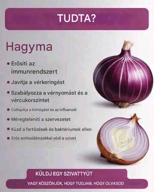 Keresési eredmények a következőre: A hagyma hatékony egészségügyi előnyei