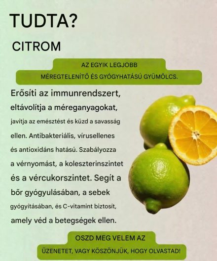 Citromhéj tea: Frissítő, természetes ital a hidratáláshoz és a mindennapi jólléthez🍋