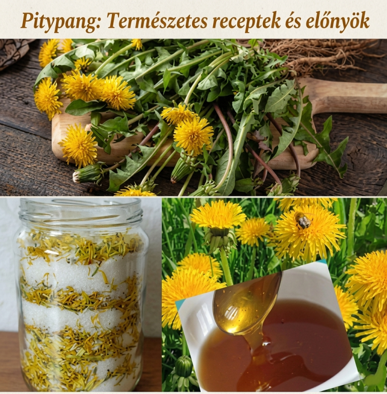 Pitypang: Természetes receptek és előnyök