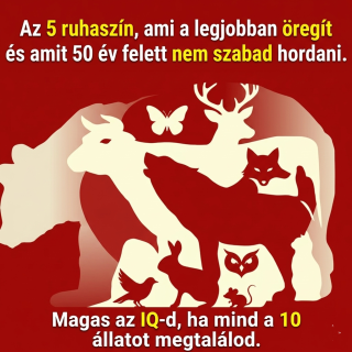 Megtalálod mind a 10 állatot a képen?