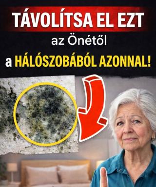 8 háztartási cikk, ami befolyásolhatja az egészségét, és amit otthon ellenőrizni kell