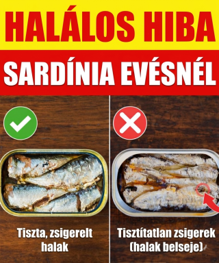 Mielőtt kinyitnál még egy szardíniakonzervet, nézd meg ezt!