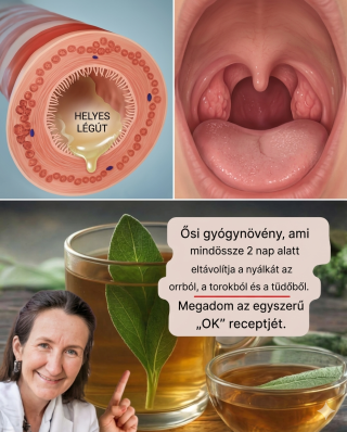 Ősi gyógynövény, amely mindössze 2 nap alatt eltávolítja a nyálkát az orrból, a torokból és a tüdőből