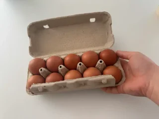Ez minket is meglepett! Kiderült, hogy rosszul tárolod te is a tojásokat, így lenne a helyes: