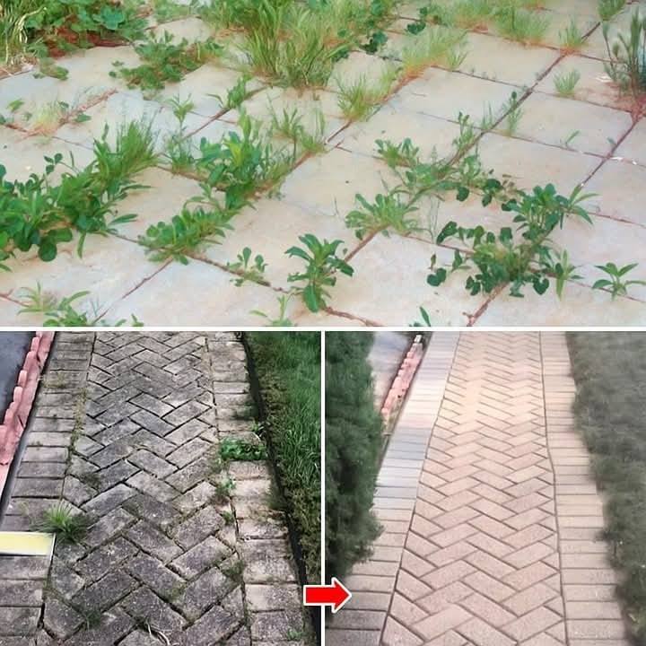 Hogyan lehet természetes módon és örökre kiirtani a gyomokat