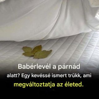 Babérlevél a párnád alatt? Egy kevéssé ismert trükk, ami megváltoztatja az életed.