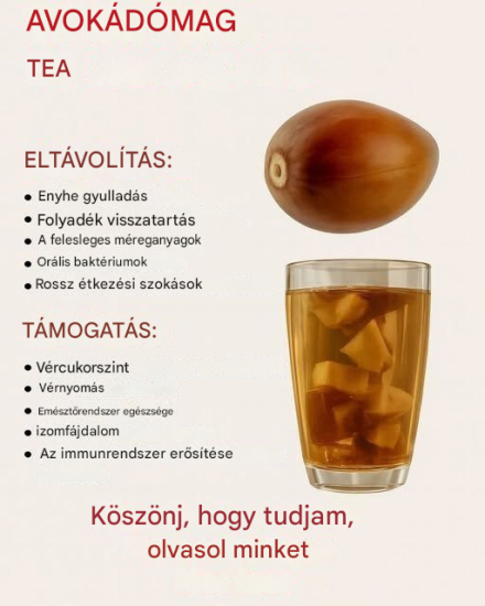 Avokádómag: A rejtett kincs, amelyből egészséges teát készíthet