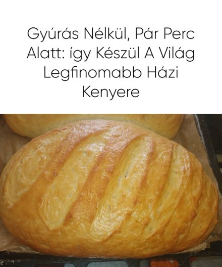 Gyúrás nélkül, pár perc alatt: így készül a világ legfinomabb házi kenyere