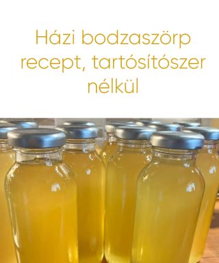 Házi bodzaszörp recept, tartósítószer nélkül