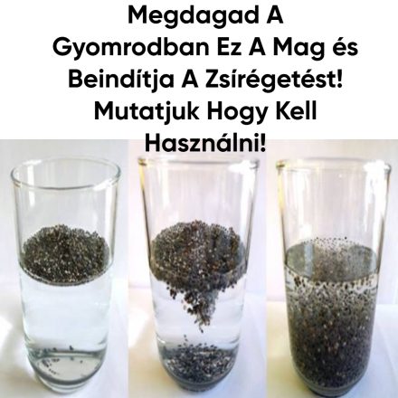 Megdagad a gyomrodban ez a mag és beindítja a zsírégetést! Mutatjuk hogy kell használni!