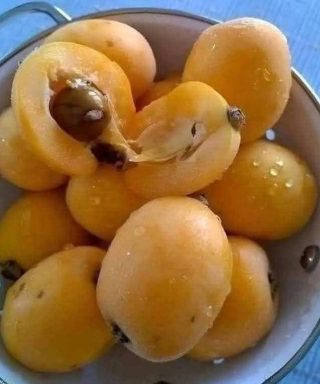 Ez az egyszerű, házi készítésű lekvárrecept a mindennapi gyümölcsöket sokáig eltartható élvezetté varázsolja.
