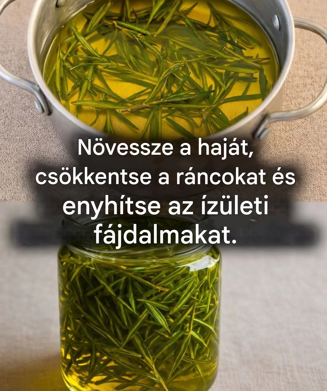 Hogyan készítsünk rozmaringolajat az izom- és ízületi fájdalmak enyhítésére