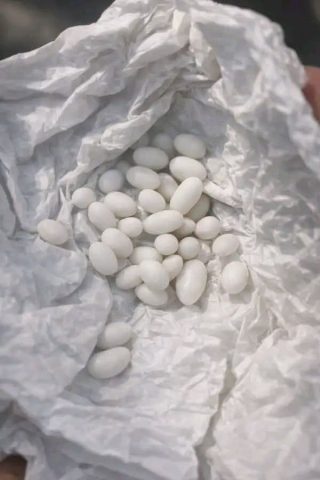 Furcsa kis fehér golyókat találtam a 15 éves fiam hátizsákjában: Azt mondja, hogy csak édességek, de én nem hiszek neki.