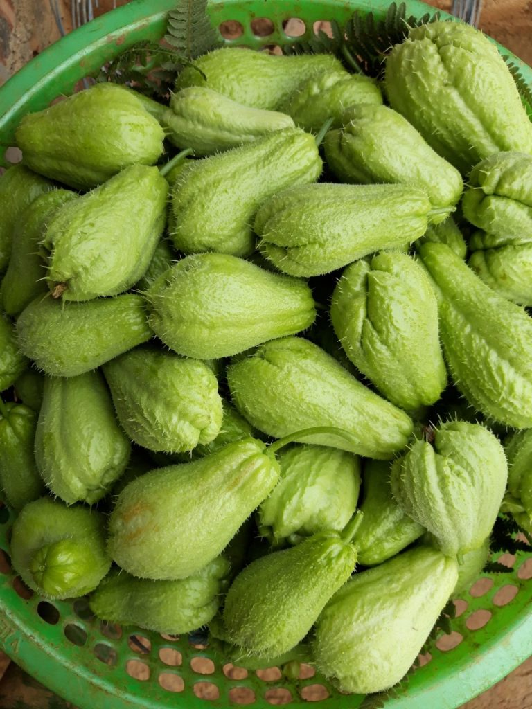 Az orvosok szerint a chayote fogyasztása okozza…