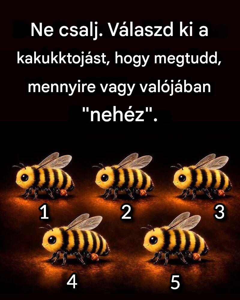 Ne csalj. Válaszd ki a kakukktojást, hogy megtudd, mennyire vagy valójában “nehéz”.