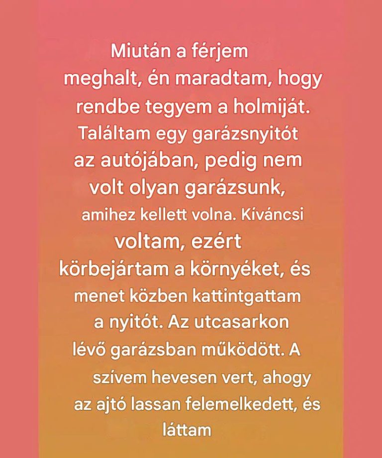 Egy titokzatos garázsnyitó vezetett el a csendes jóságához
