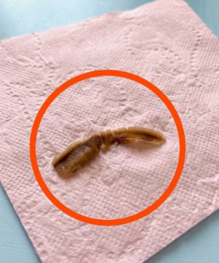Erre a barátnőm fürdőszobájában bukkantam, és már egy órája bámulom – még mindig fogalmam sincs, mi kellene legyen.