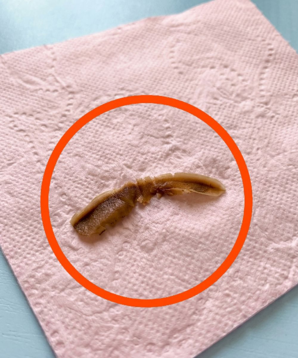 Erre a barátnőm fürdőszobájában bukkantam, és már egy órája bámulom – még mindig fogalmam sincs, mi kellene legyen.