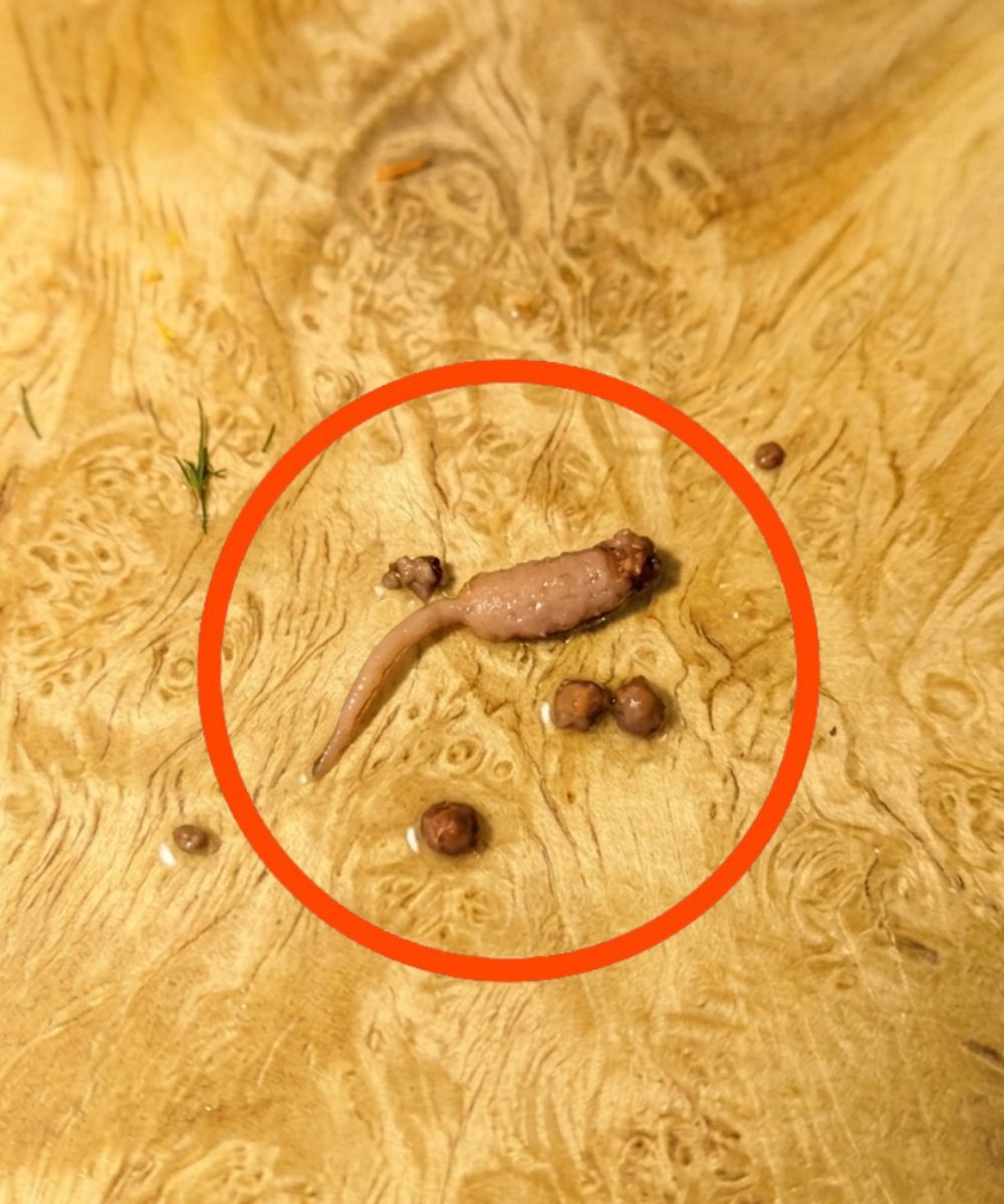 Darált marhahúst sütöttem, és amikor kivettem a serpenyőből, észrevettem egy furcsa tárgyat, ami nem úgy nézett ki, mint egy marhahús.