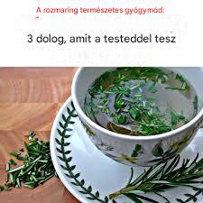 🌿Rozmaring: 3 kevéssé ismert jótékony hatása ennek az aromás gyógynövénynek