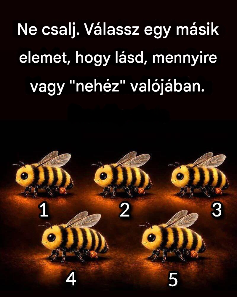 Vizuális teszt: Amit először látsz, az felfedi a gondolkodásmódodat